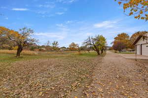 View of road