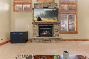 Living area featuring carpet flooring and a fireplace