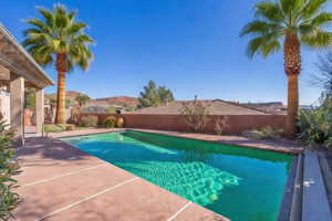 View of pool featuring patio surround and a fenced backyard