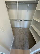 Walk in closet with light carpet