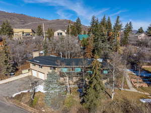 Bird's eye view of a mountain backdrop