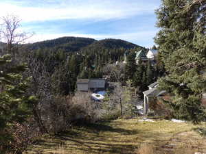 View of mountain background featuring a heavily wooded area