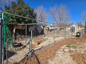 View of yard featuring a vegetable garden and a shed