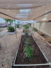 View of yard with a garden