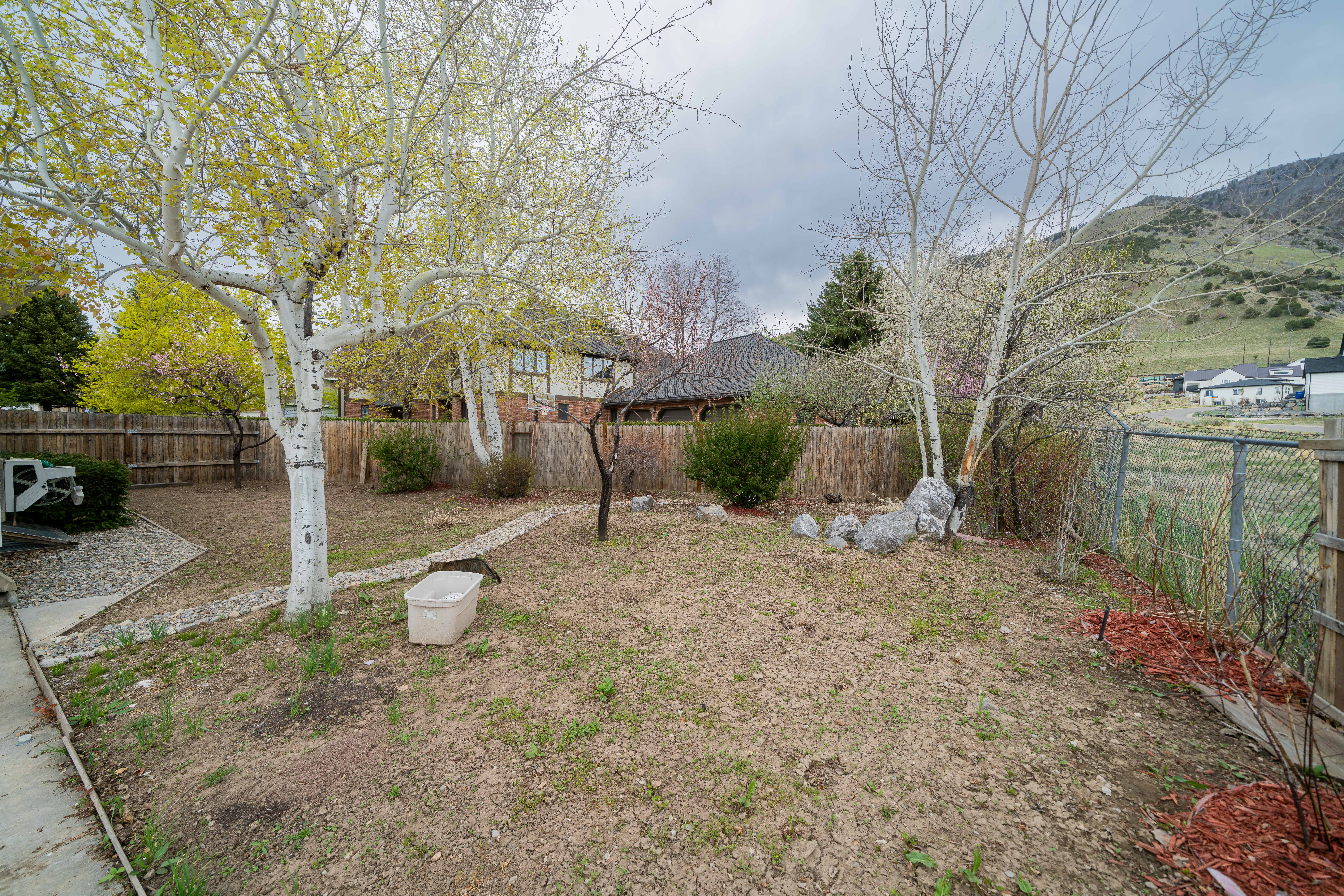 View of fenced backyard