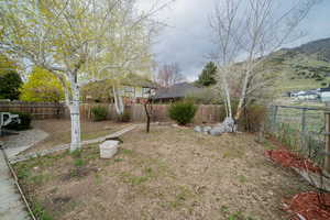 View of fenced backyard
