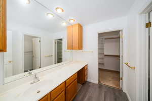 Bathroom with a walk in closet, vanity, and dark wood finished floors