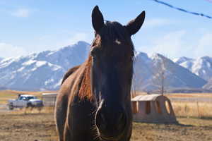 Mountain view with rural landscape
