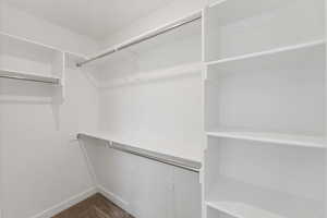 Walk in closet with dark colored carpet