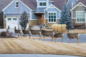 Craftsman house featuring board and batten siding, a standing seam roof, stone siding, and roof with shingles