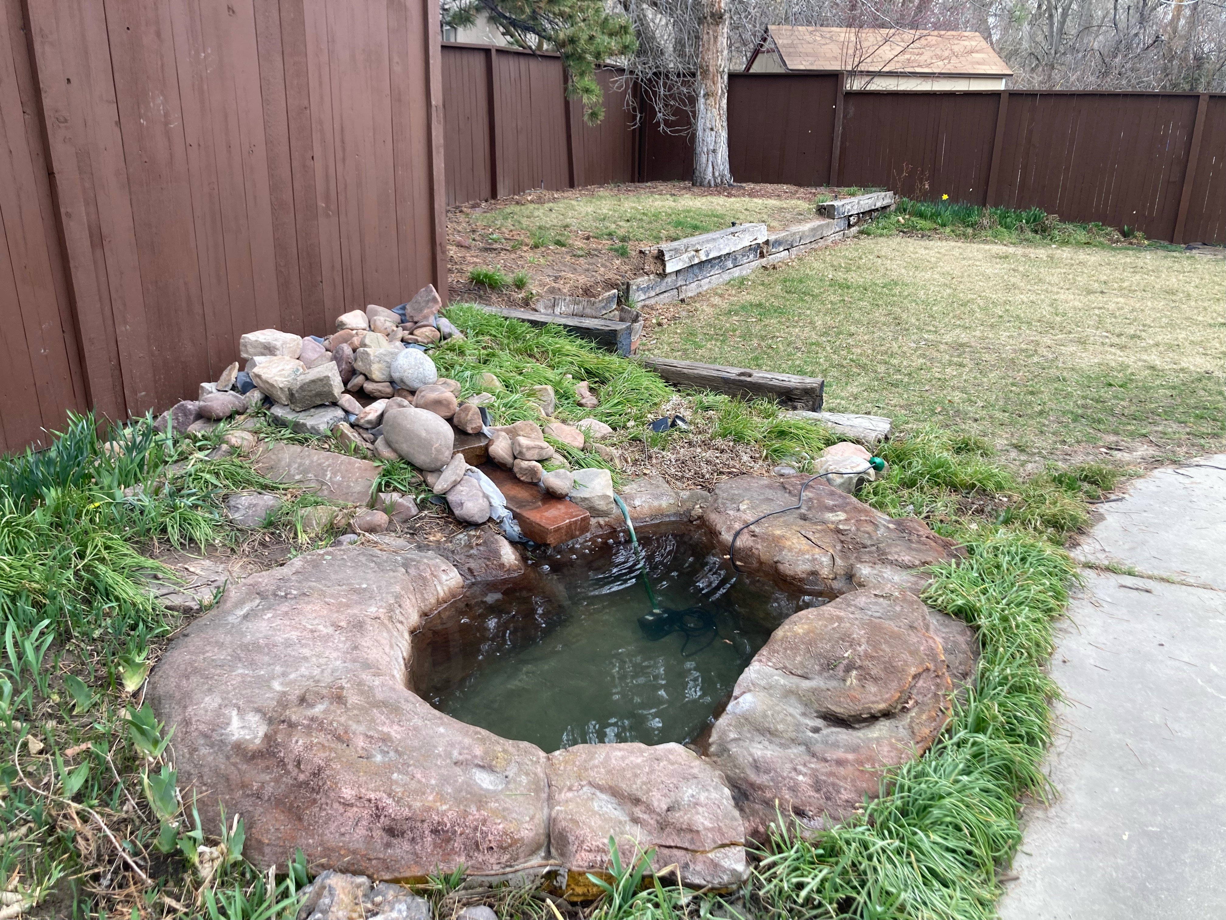 a pond