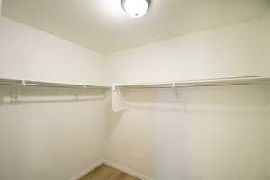 Walk in closet with light wood finished floors