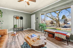 Living area featuring a ceiling fan, wood finished floors, a textured ceiling, and crown molding