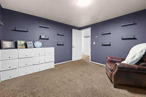 Living area with carpet flooring and a textured ceiling
