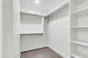 Walk in closet with light carpet