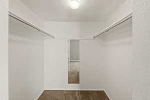 Walk in closet featuring carpet floors