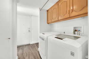 Laundry room with light wood-type flooring, washer and clothes dryer, and cabinet space