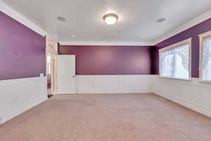 Carpeted spare room with wainscoting, a decorative wall, and ornamental molding