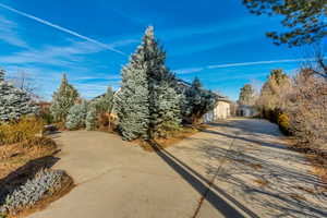 View of concrete driveway