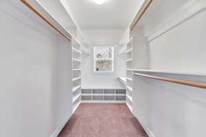 Walk in closet with light carpet