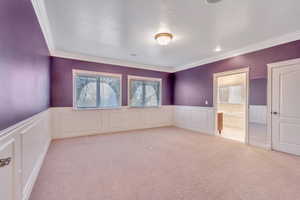 Unfurnished room featuring wainscoting, a decorative wall, crown molding, and light colored carpet