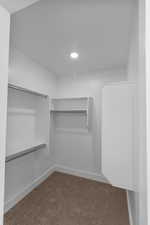 Walk in closet featuring dark colored carpet