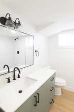Bathroom featuring vanity, lofted ceiling, light wood finished floors, healthy amount of natural light, and a shower