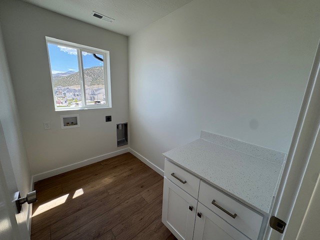 Laundry area featuring cabinet space, hookup for a washing machine, and dark wood-style flooring
