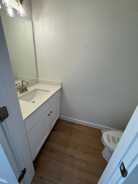 Bathroom featuring vanity and dark wood-type flooring