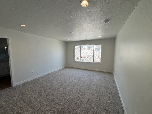 Empty room featuring light carpet, a textured ceiling, and recessed lighting