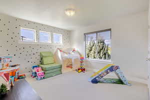 Recreation room with plenty of natural light and carpet floors