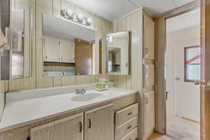 Bathroom with vanity and wooden walls