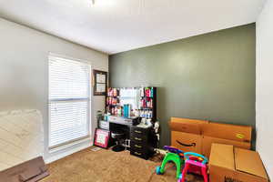 Rec room with carpet floors and a desk