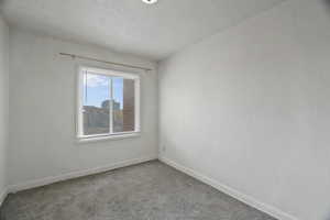 Spare room with carpet flooring and a textured wall