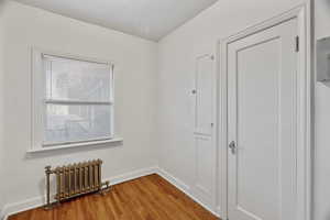 Unfurnished room with radiator and light wood-style flooring