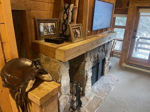 Detailed view of carpet flooring, wooden walls, a stone fireplace, and a baseboard heating unit