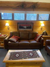Living area featuring carpet flooring and wood walls