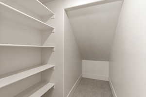 Walk in closet with light colored carpet and lofted ceiling