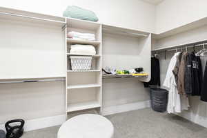 Walk in closet featuring light carpet