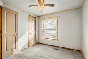 Primary bedroom. New paint, carpet, light, and blinds.