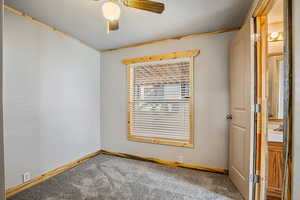 2nd Bathroom. Large Window and Carpeting.