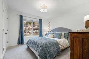 Carpeted bedroom featuring crown molding, a textured ceiling, and a closet