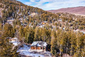Snowy aerial view featuring a mountain view and a view of trees