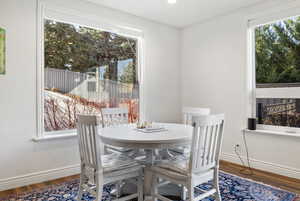 Basement Family Room