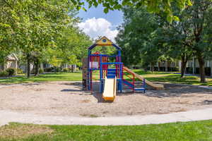 Community jungle gym with a lawn