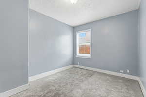 Unfurnished room featuring carpet floors and a textured ceiling