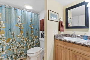 Bathroom with vanity and a shower with shower curtain