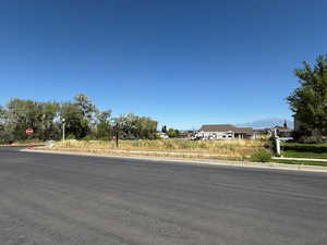 View of asphalt street featuring traffic signs and curbs