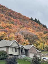 View of mountain background featuring a heavily wooded area