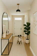 Generated with AI Dog not included.